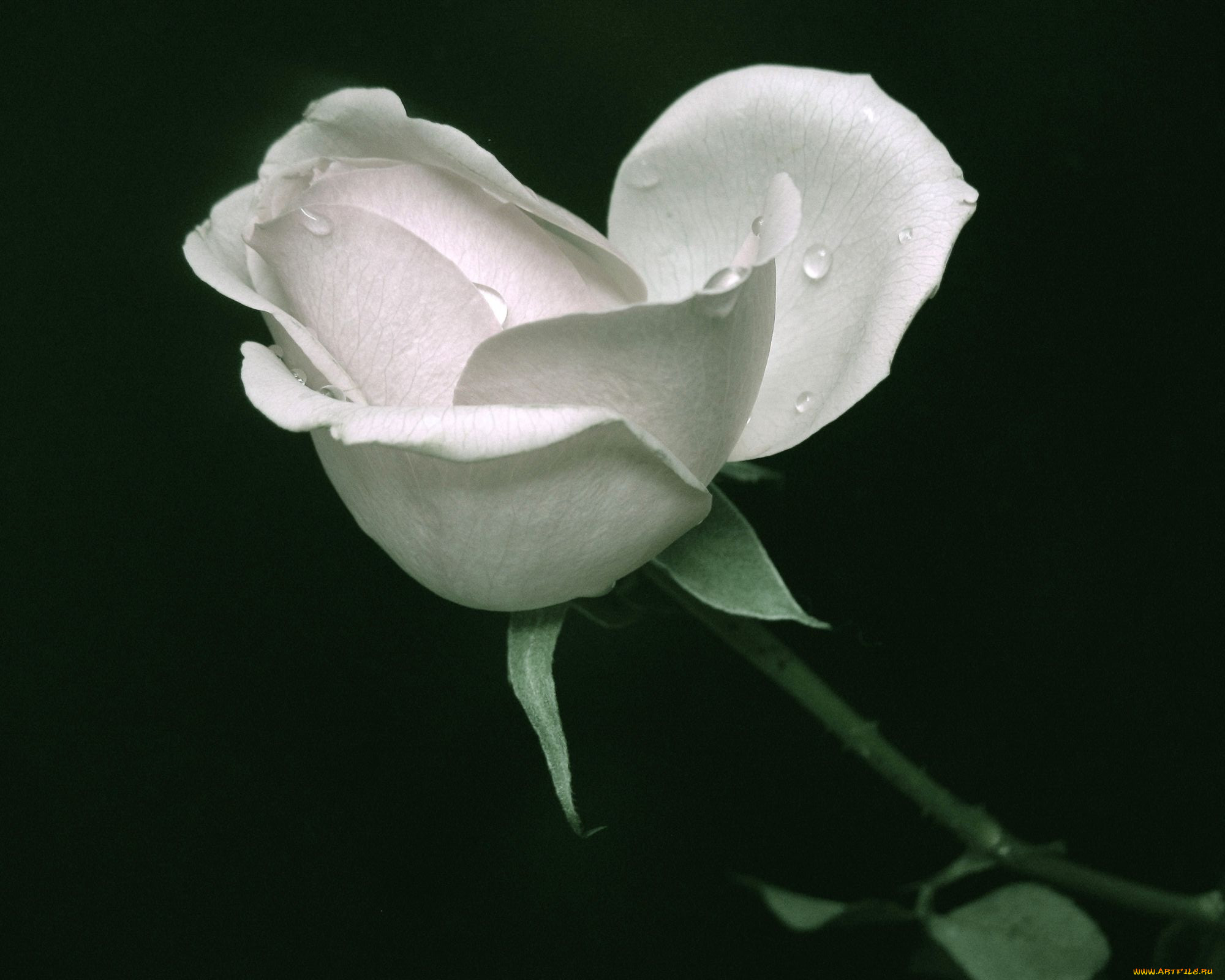 , , , , , 